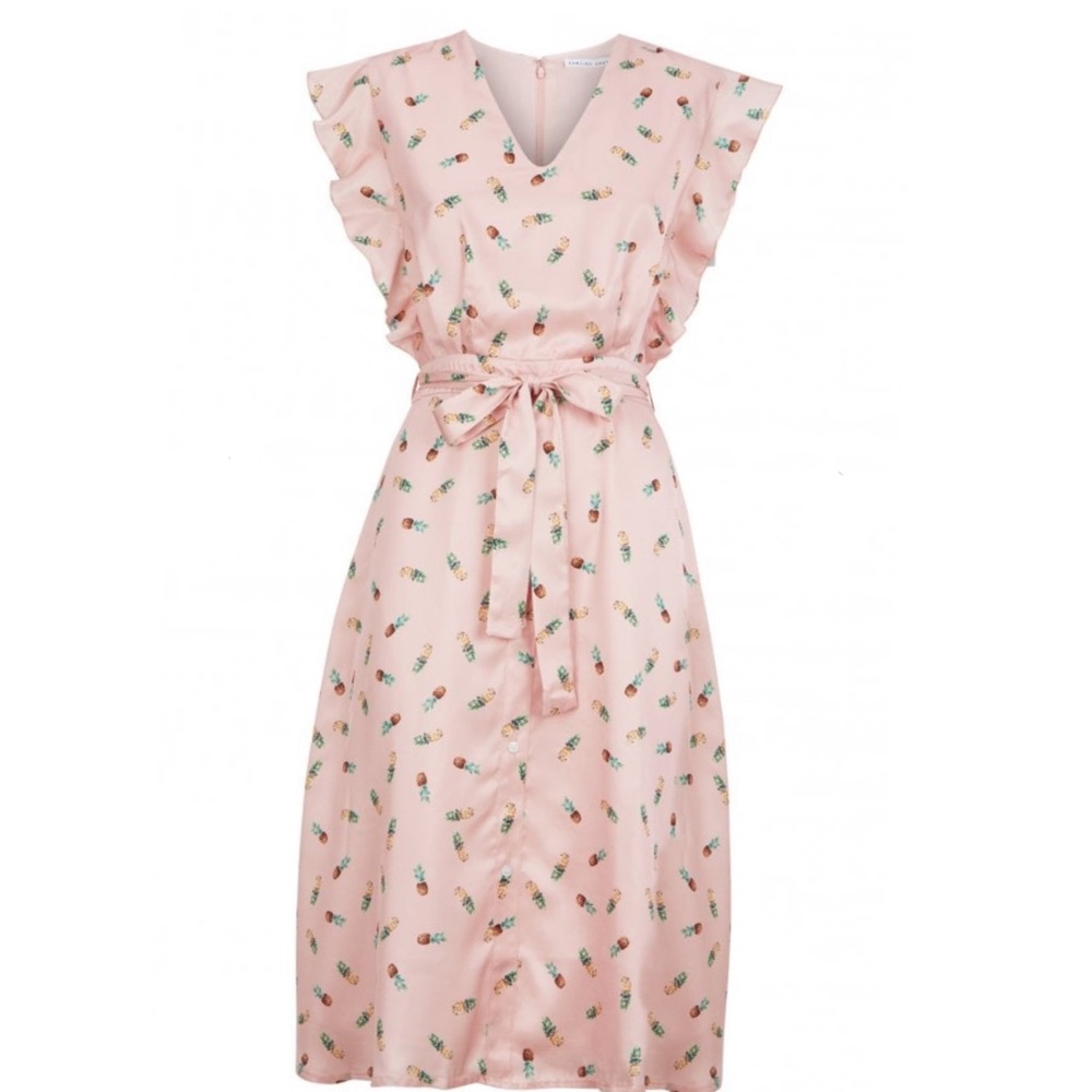 NWT English Factory Pink Pineapple Dress size S